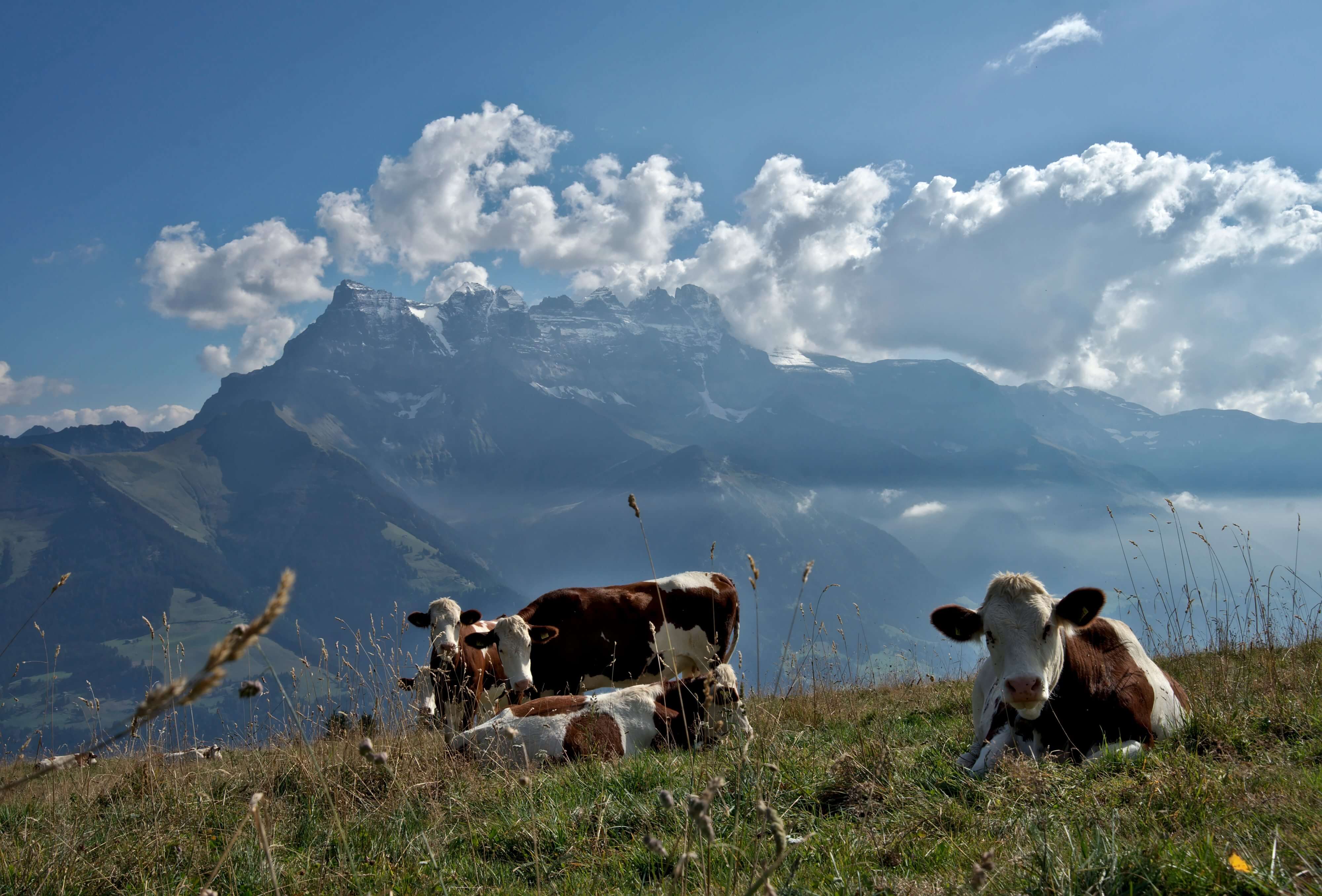 tour des Dents du Midi