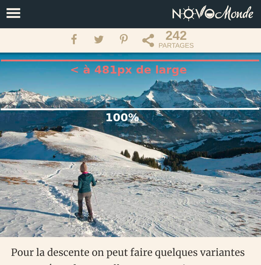 image responsive petit