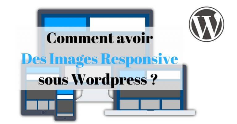 Avoir Des Images Responsive Sous Wordpress Comment Ca Fonctionne