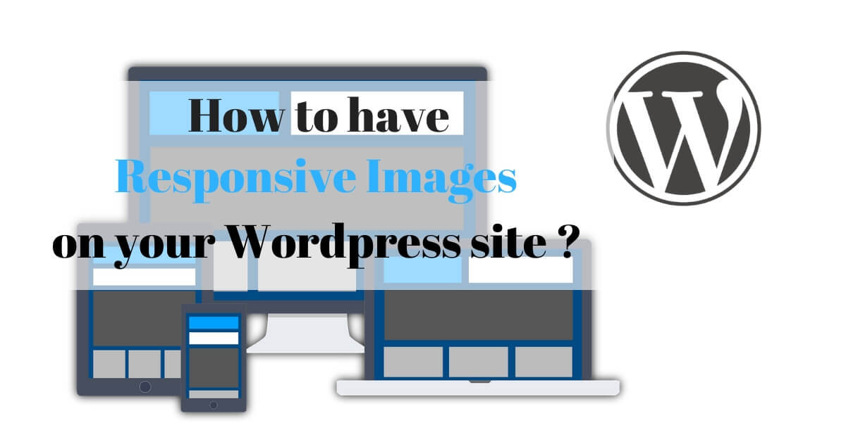 responsive images wordpress