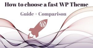 fastest wordpress theme