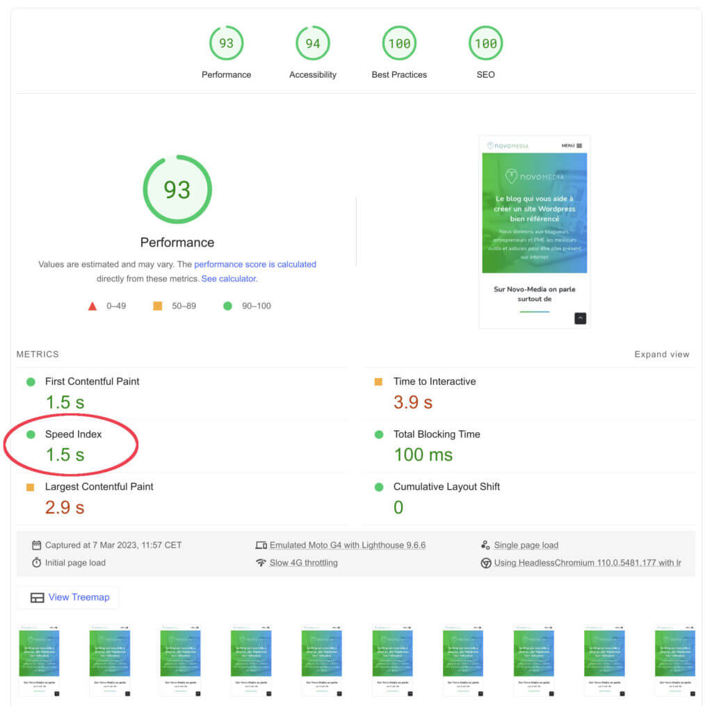 rapport dans l'outil google page speed insights